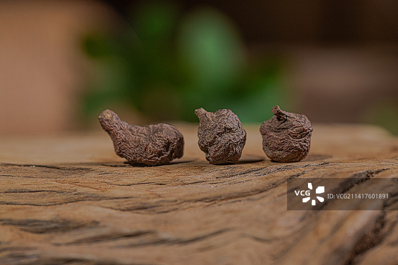 中药材 蕨麻图片素材