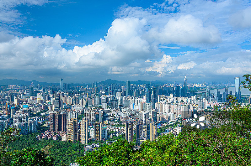 深圳南山公园望CBD摩天大楼繁华都市风光图片素材