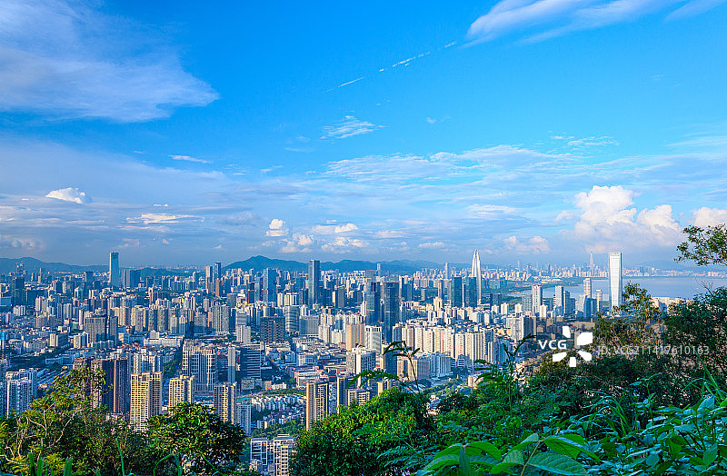 深圳南山公园望CBD摩天大楼繁华都市风光图片素材