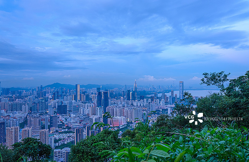 深圳南山公园望CBD摩天大楼繁华都市风光图片素材