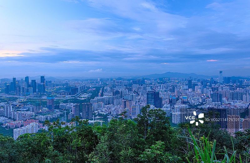 深圳南山公园望CBD摩天大楼繁华都市风光图片素材