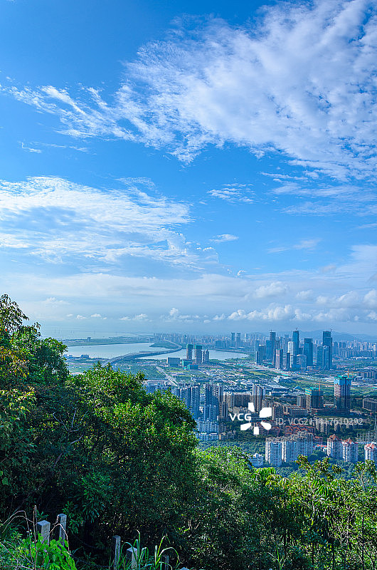 深圳南山公园望CBD摩天大楼建筑风光竖图图片素材