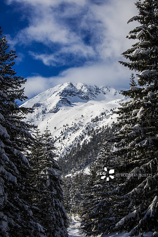 保加利亚皮林国家公园雪山风景图片素材