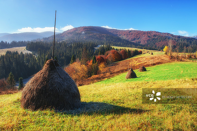 阳光明媚的鲜花盛开的山丘，美国图片素材