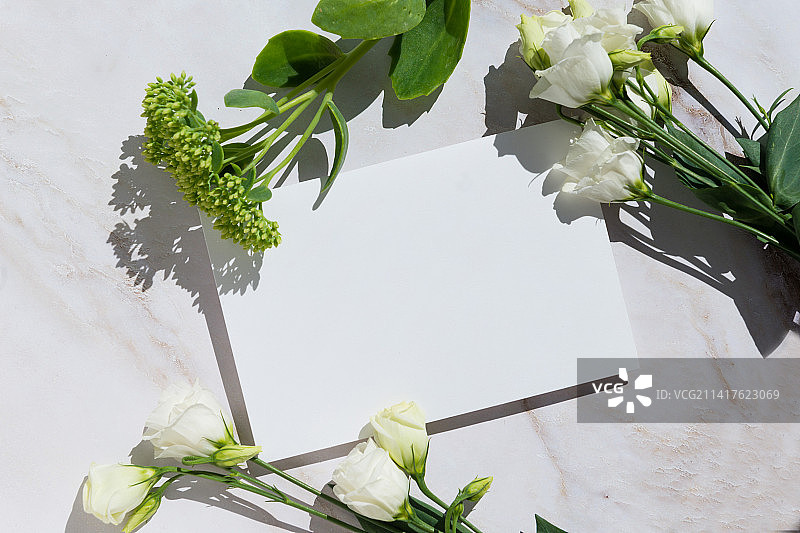 空白卡片，白色背景鲜花，优雅的现代模型图片素材