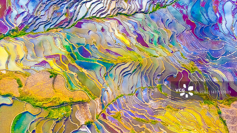 爱春蓝梯田图片素材