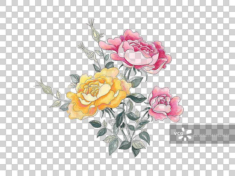 月季国风水彩花卉图片素材