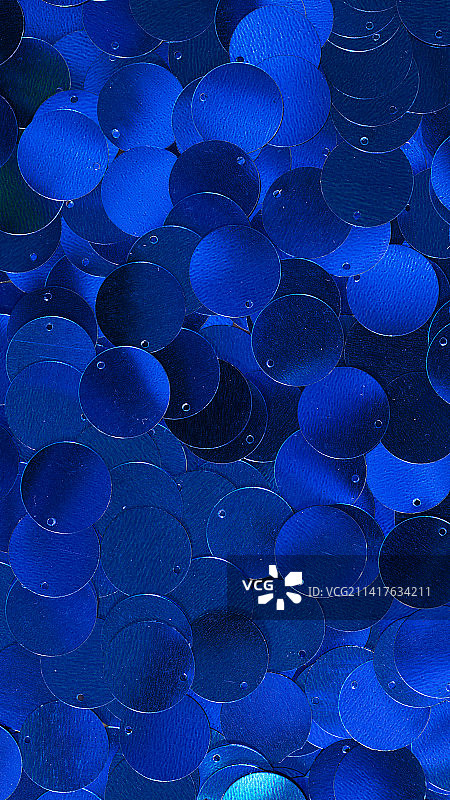 在罗马尼亚海中游泳的水母特写镜头图片素材