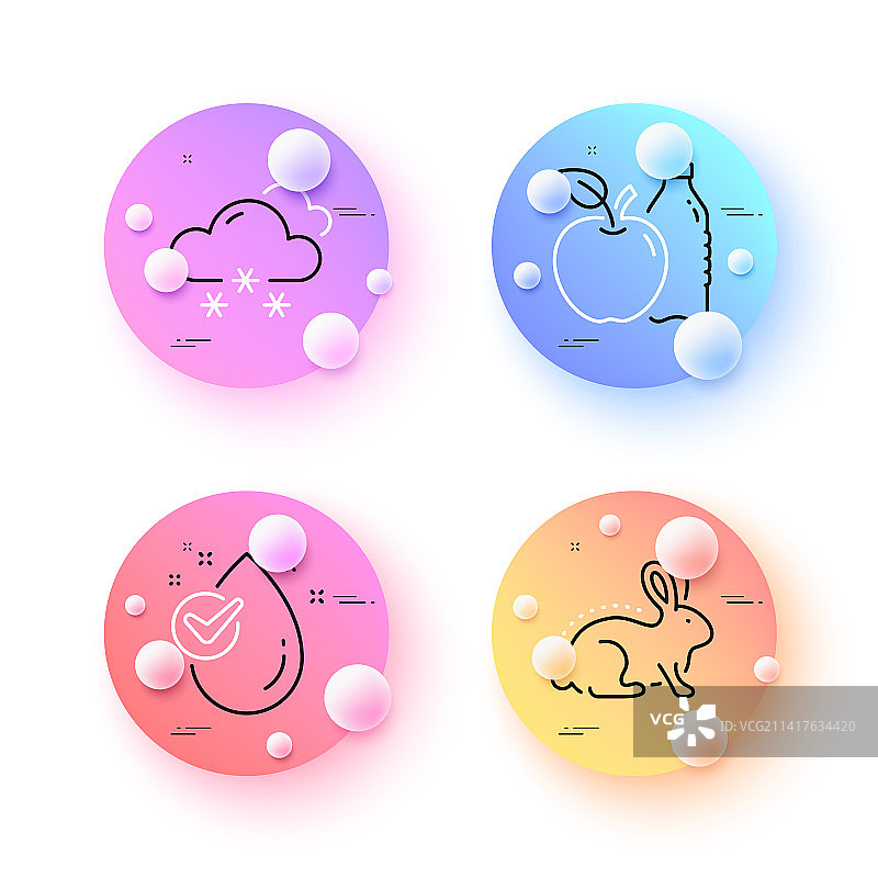 动物测试水滴和雪天气极简图片素材