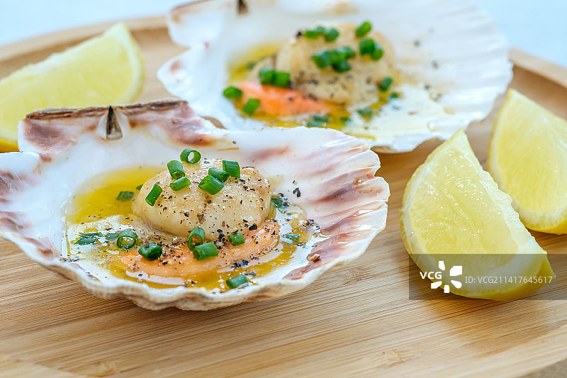 扇贝（罗马尼亚）图片素材