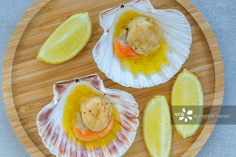 扇贝（罗马尼亚）图片素材