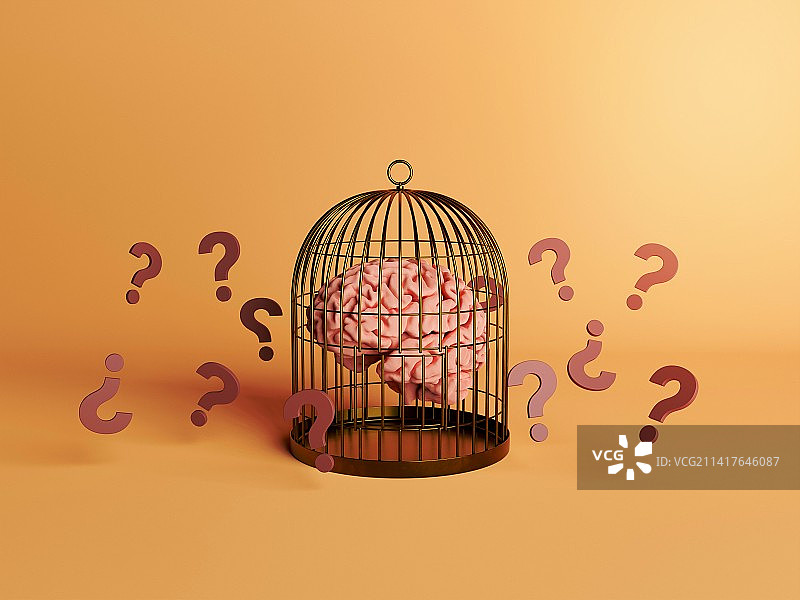 罗马尼亚日落时分笼中鸟儿特写图片素材