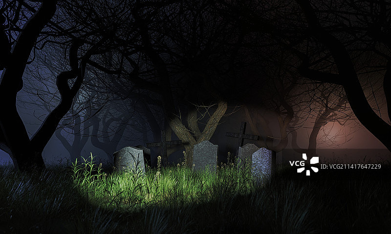 罗马尼亚夜间田野上的树木剪影图片素材