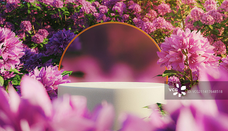 罗马尼亚桌面杯中花卉特写图片素材