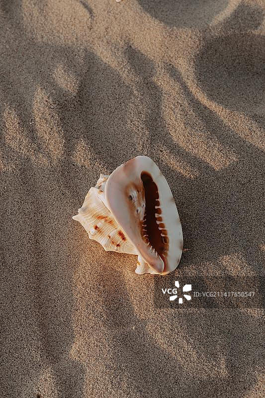 马来西亚海滩蛤蜊日落美景图片素材