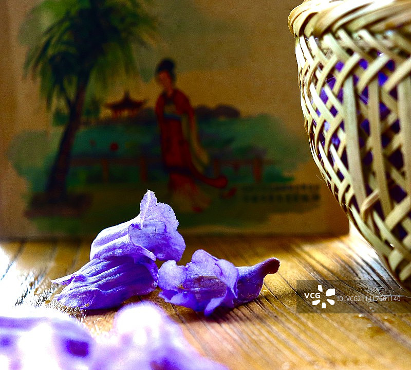 蓝花楹图片素材