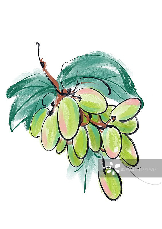 插画葡萄图片素材