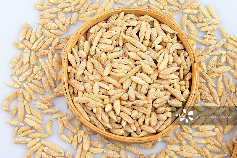 中药材中药麦冬图片素材