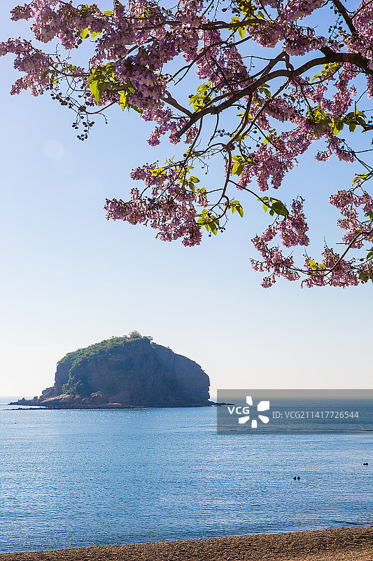 大连棒棰岛图片素材