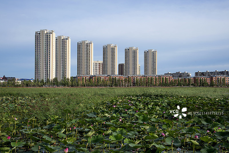 大庆明湖生态图片素材