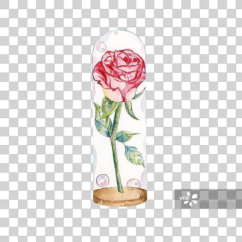 红色月季花玻璃瓶图片素材
