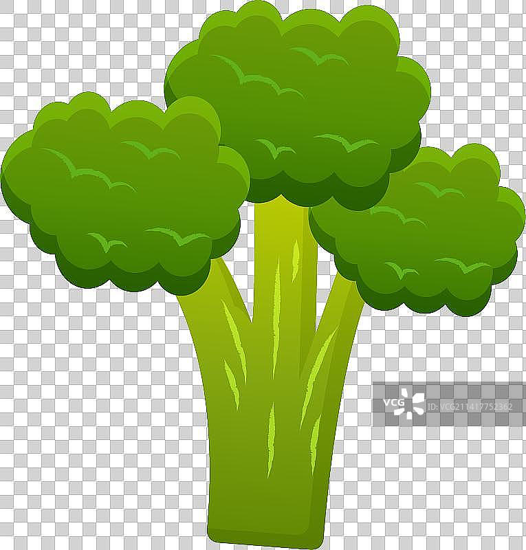 Broccoli图片素材