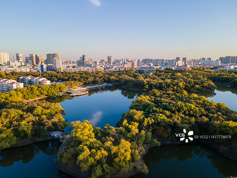 航拍黑龙江省齐齐哈尔市龙沙公园秋季风景图片素材