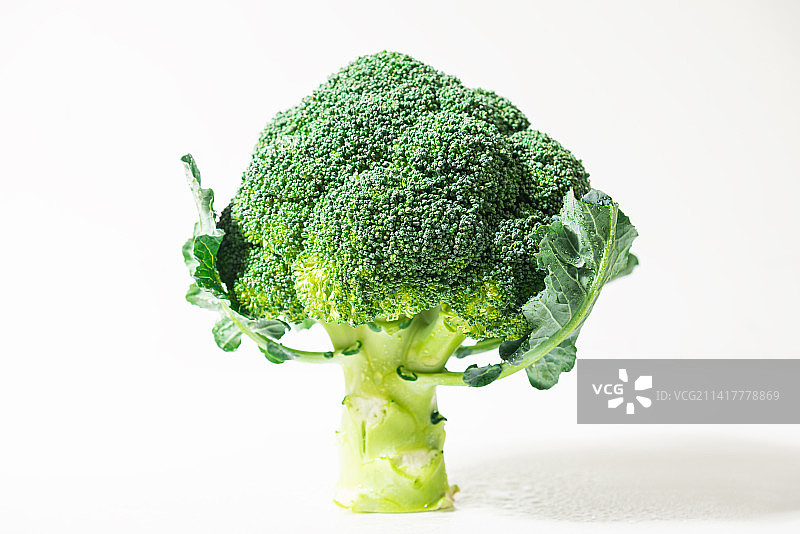 白色背景上竖立着带叶子的西兰花图片素材