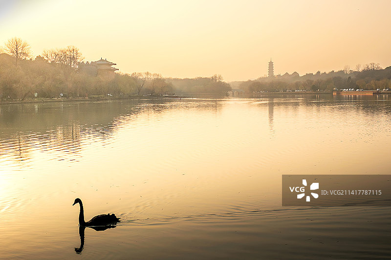 夕阳晚霞照耀下的扬州保障湖及大明寺栖灵塔黑天鹅图片素材