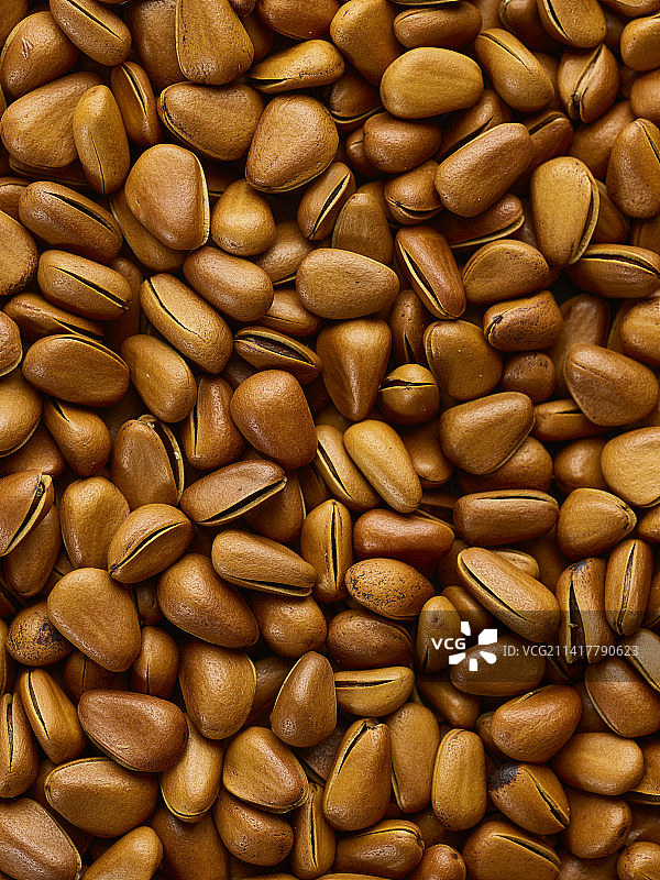 坚果干果东北松子图片素材