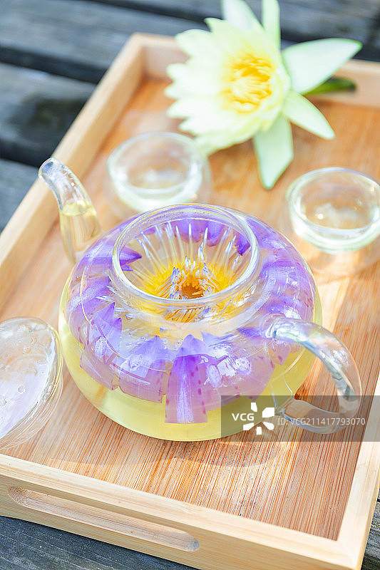 莲花睡莲粉色莲花紫色莲花图片素材