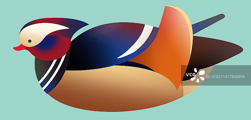 野生动物野鸭水鸭鸳鸯鲜艳华丽扁平风插画图片素材