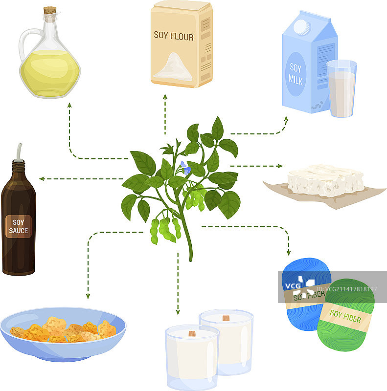技术花卉植物套装图片素材