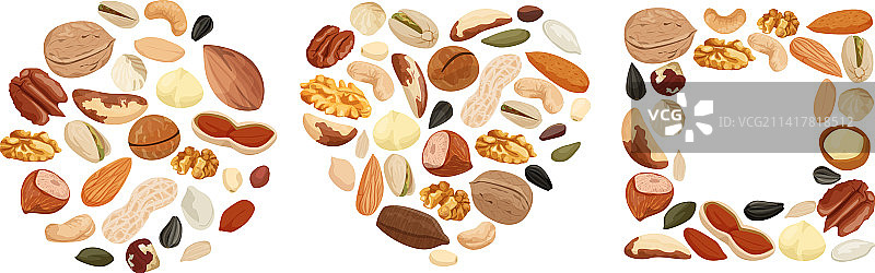 坚果种子形状集合图片素材