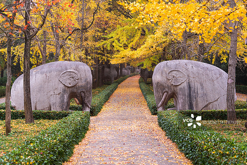 深秋石象路图片素材
