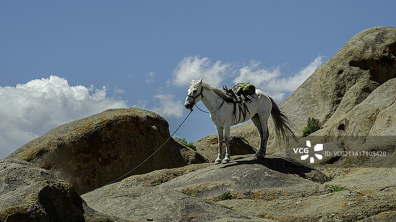 新疆阿勒泰地区清河县风光怡人图片素材