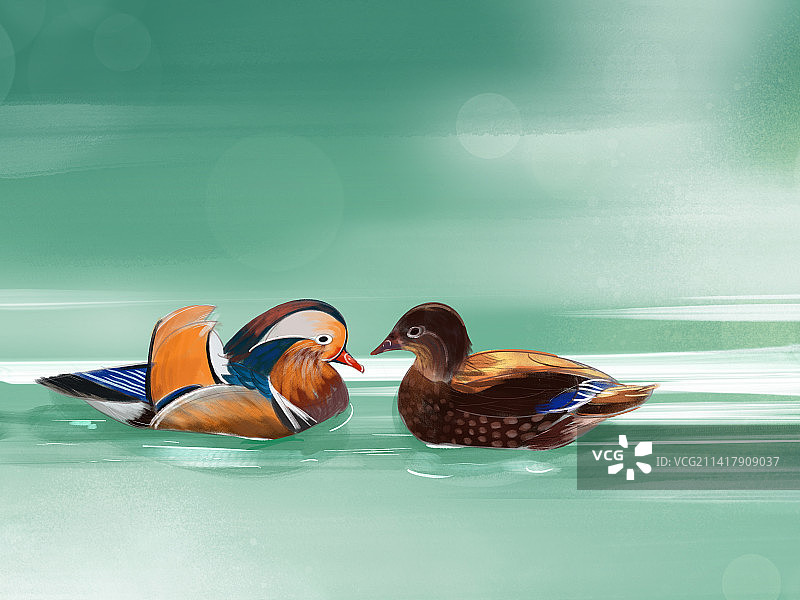 鸳鸯戏水手绘鸳鸯插画图片素材