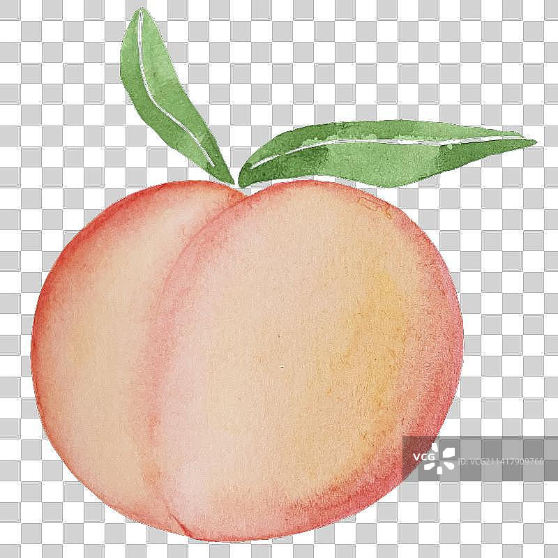 水彩手绘水蜜桃图片素材