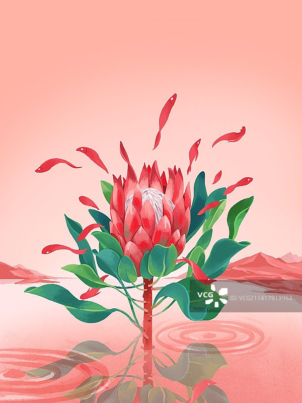 水里的小鱼和花图片素材