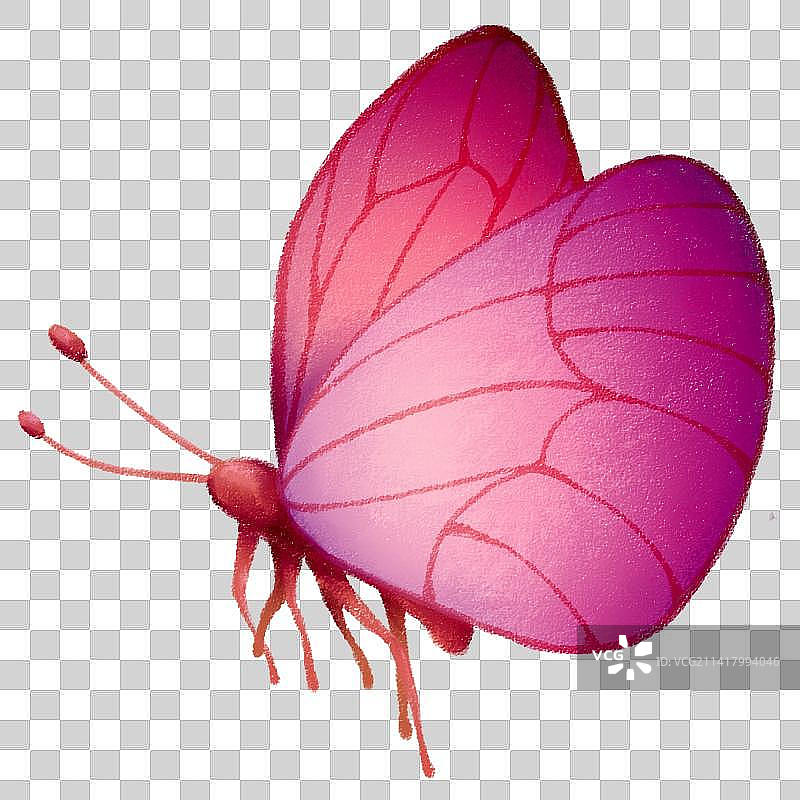 卡通蝴蝶图片素材