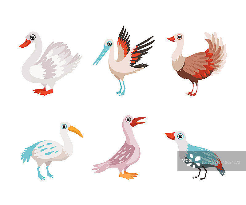 带喙的翅膀羽毛鸟类图片素材