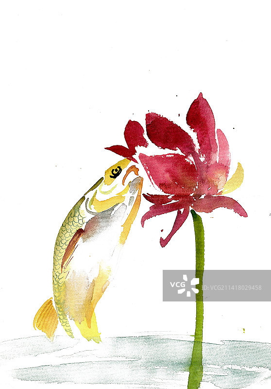 跳跃的鱼图片素材