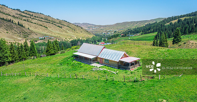汽车广告背景图：航拍 巩乃斯草原  牧场 森林 蓝天 白云 云杉图片素材