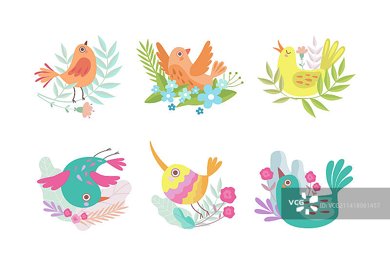 可爱小鸟栖息在花枝鸟巢中图片素材