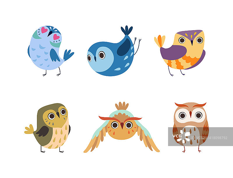 长着彩色羽毛的可爱小猫头鹰图片素材