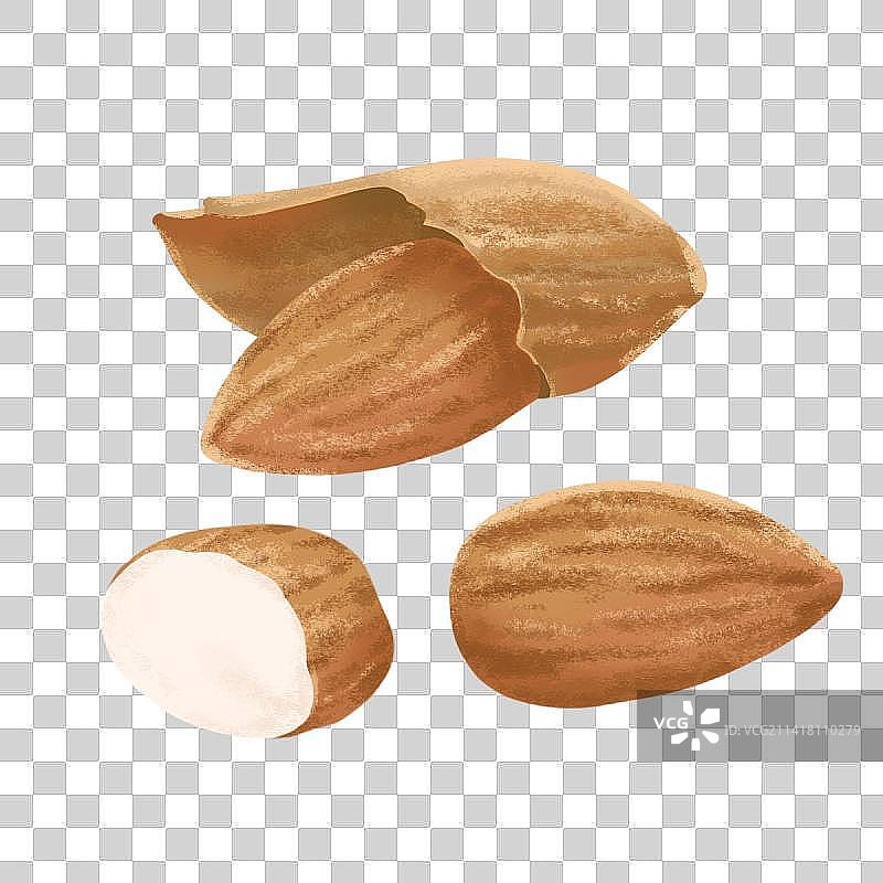 扁桃巴旦木图片素材