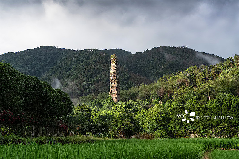 树林中的国清寺隋塔图片素材