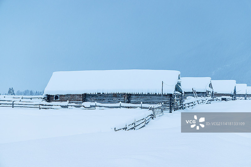 冬季新疆喀纳斯图瓦村雪地上的木屋夜景图片素材