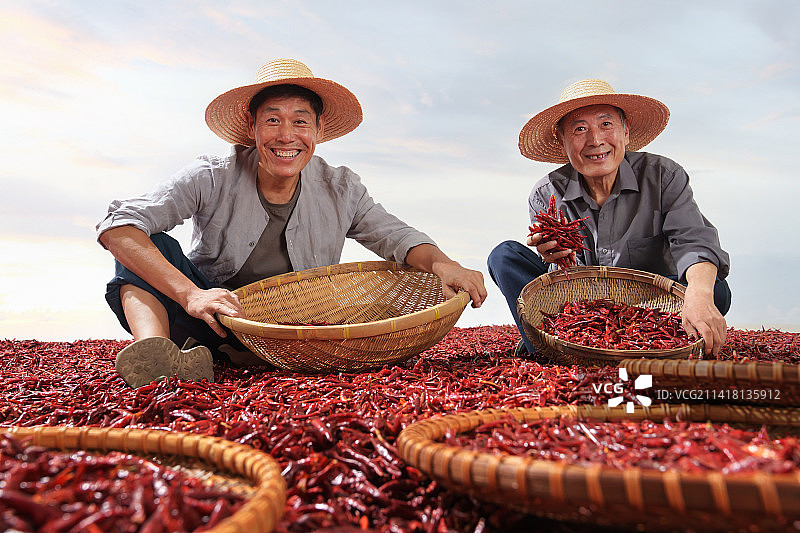 农民晾晒辣椒图片素材