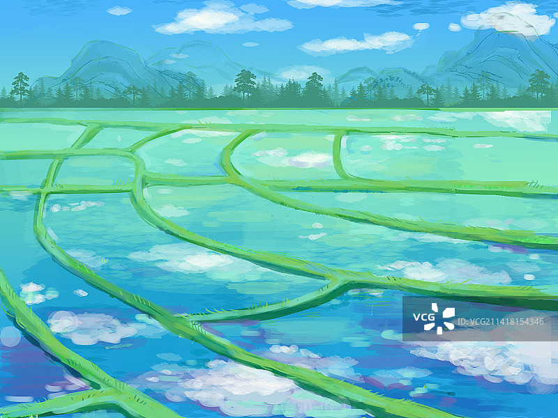 绿色的水田耕地图片素材